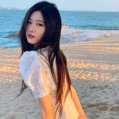 圣诞狗狗1:全面搜寻